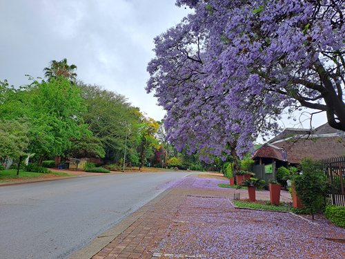 Wapadrand Cottage Pretoria East (18)